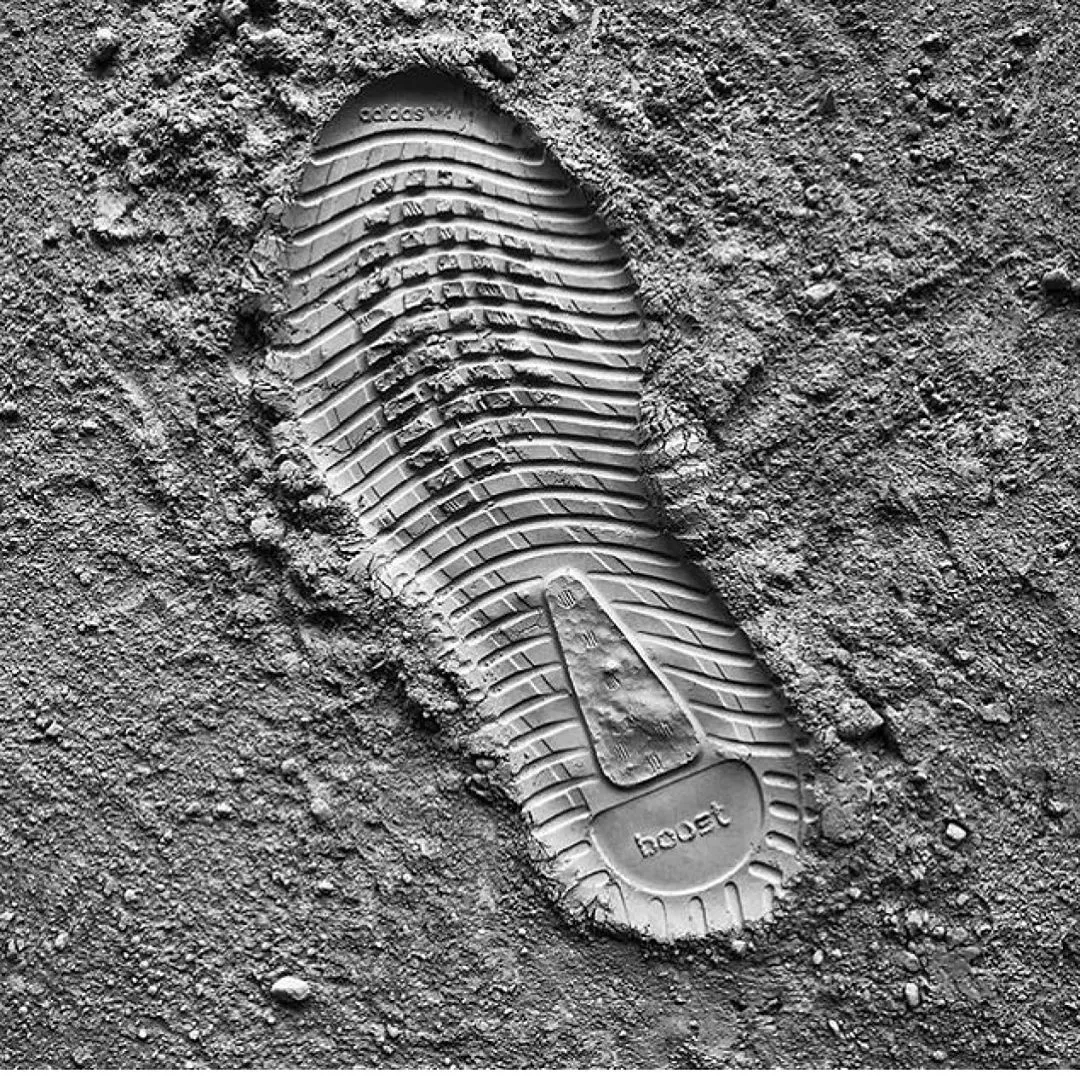 Yeezy 350 V2